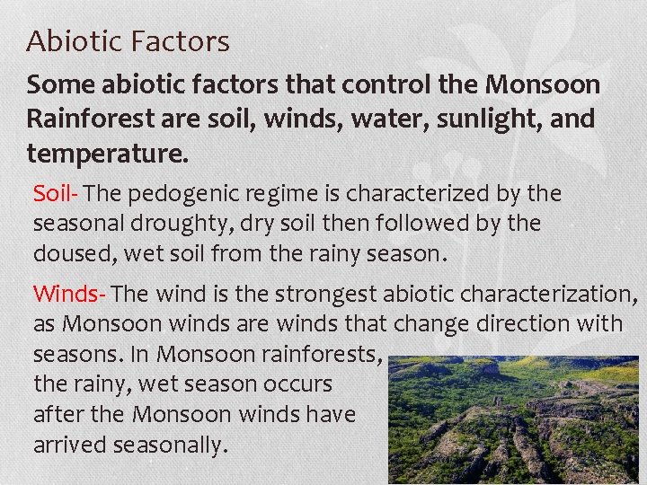 Abiotic Factors Some abiotic factors that control the Monsoon Rainforest are soil, winds, water,