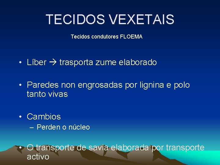 TECIDOS VEXETAIS Tecidos condutores FLOEMA • Líber trasporta zume elaborado • Paredes non engrosadas TECIDOS VEXETAIS Tecidos condutores FLOEMA • Líber trasporta zume elaborado • Paredes non engrosadas