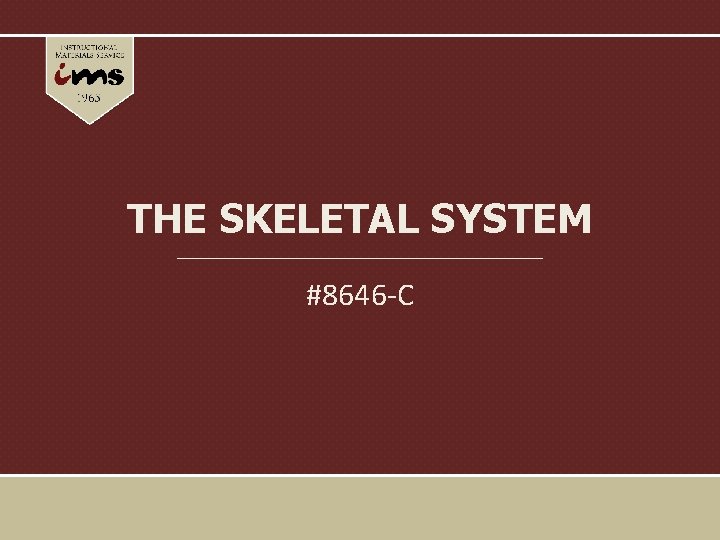 THE SKELETAL SYSTEM #8646 -C 