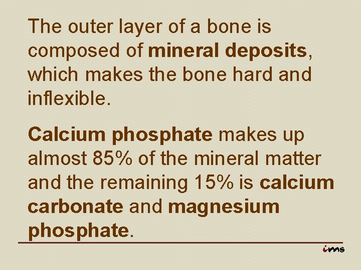 The outer layer of a bone is composed of mineral deposits, which makes the