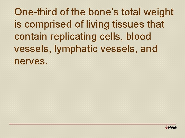 One-third of the bone’s total weight is comprised of living tissues that contain replicating