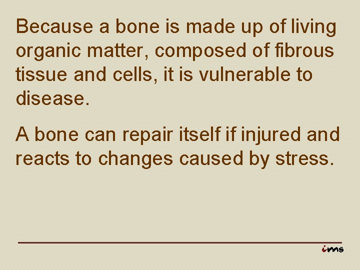 Because a bone is made up of living organic matter, composed of fibrous tissue