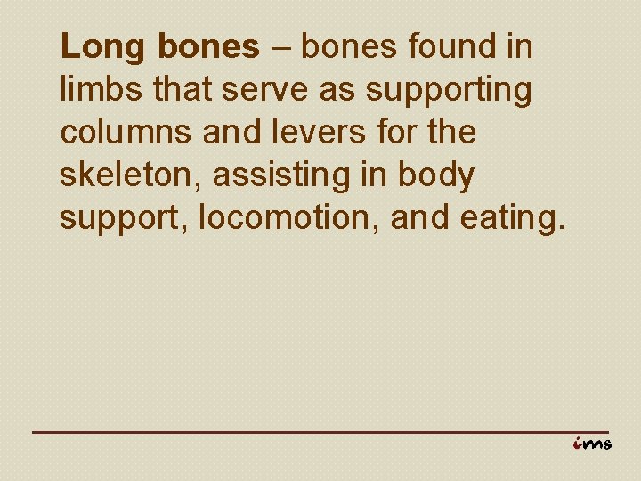 Long bones – bones found in limbs that serve as supporting columns and levers