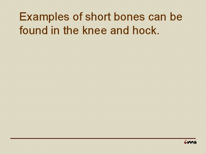 Examples of short bones can be found in the knee and hock. 