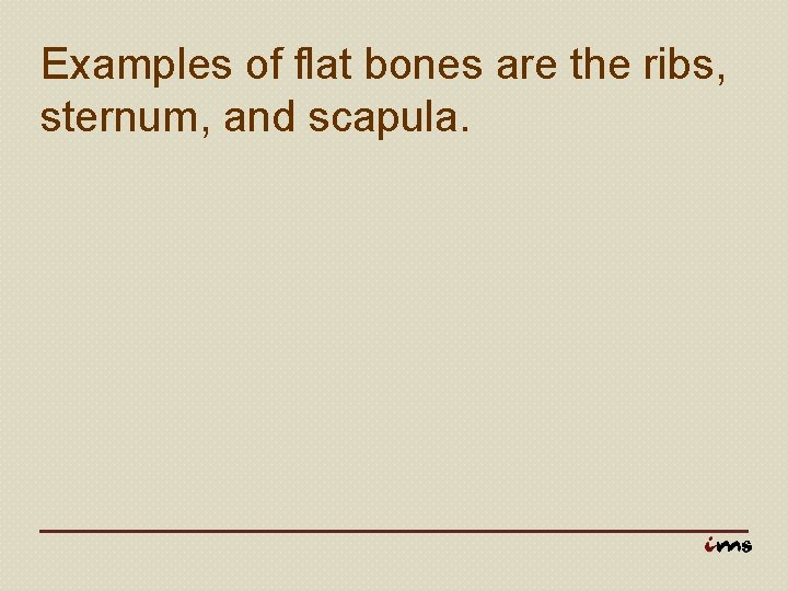 Examples of flat bones are the ribs, sternum, and scapula. 