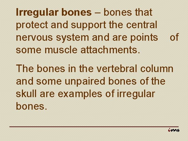 Irregular bones – bones that protect and support the central nervous system and are