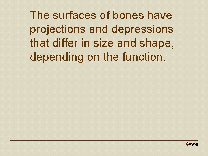 The surfaces of bones have projections and depressions that differ in size and shape,