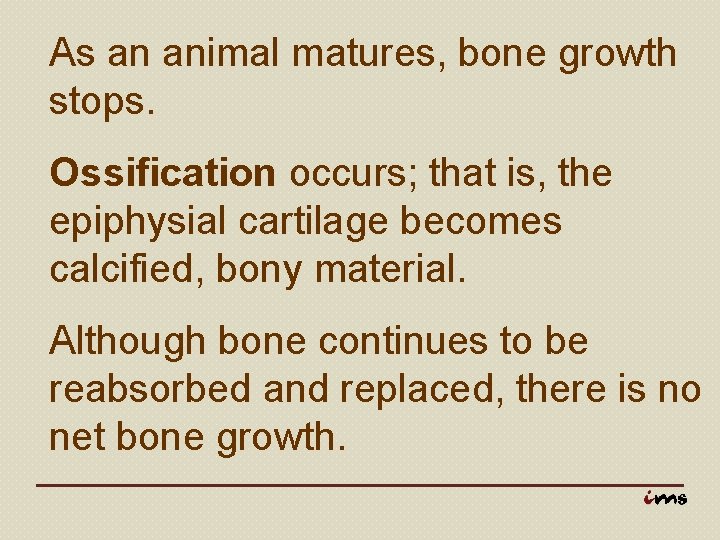 As an animal matures, bone growth stops. Ossification occurs; that is, the epiphysial cartilage