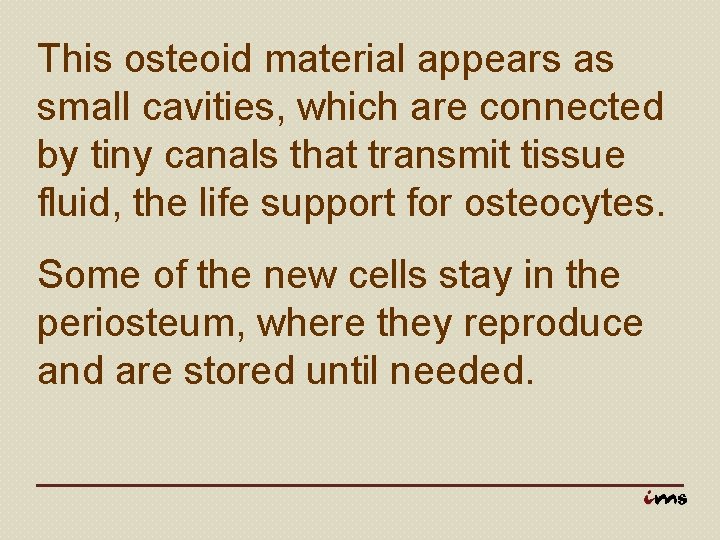 This osteoid material appears as small cavities, which are connected by tiny canals that