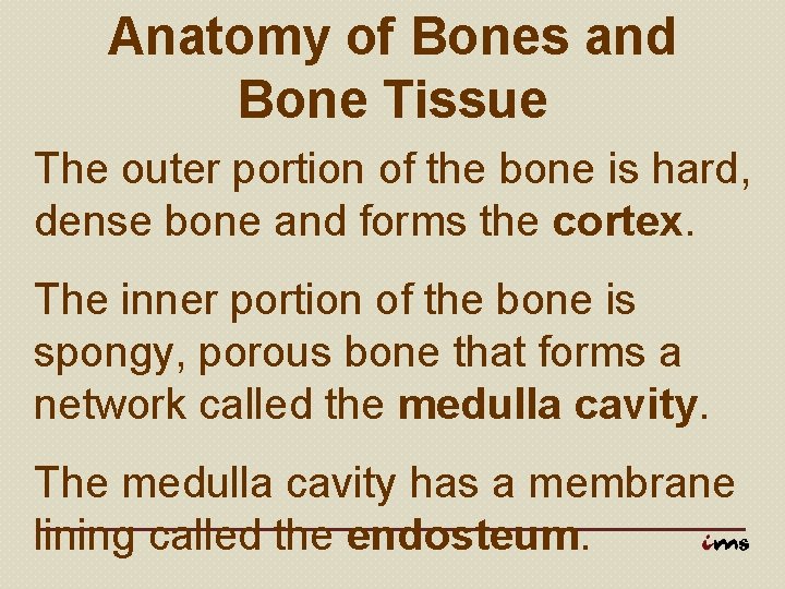 Anatomy of Bones and Bone Tissue The outer portion of the bone is hard,