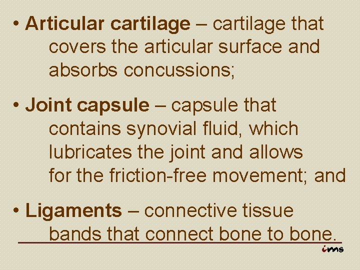  • Articular cartilage – cartilage that covers the articular surface and absorbs concussions;