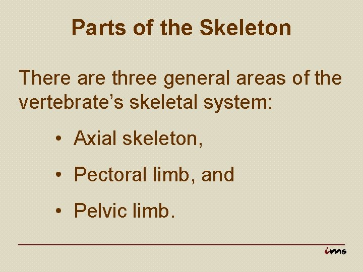 Parts of the Skeleton There are three general areas of the vertebrate’s skeletal system:
