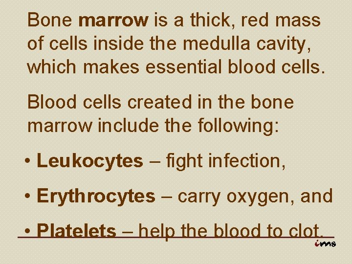 Bone marrow is a thick, red mass of cells inside the medulla cavity, which