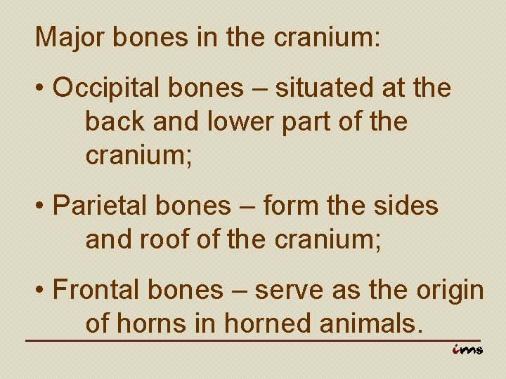 Major bones in the cranium: • Occipital bones – situated at the back and