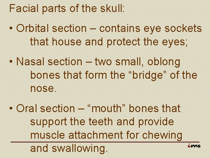 Facial parts of the skull: • Orbital section – contains eye sockets that house