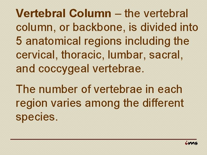 Vertebral Column – the vertebral column, or backbone, is divided into 5 anatomical regions