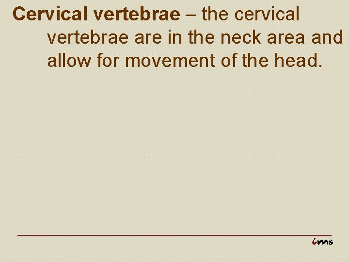 Cervical vertebrae – the cervical vertebrae are in the neck area and allow for