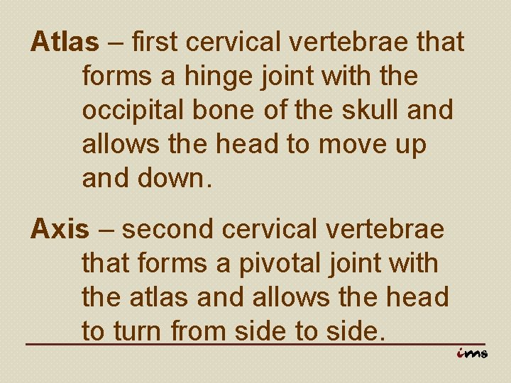 Atlas – first cervical vertebrae that forms a hinge joint with the occipital bone