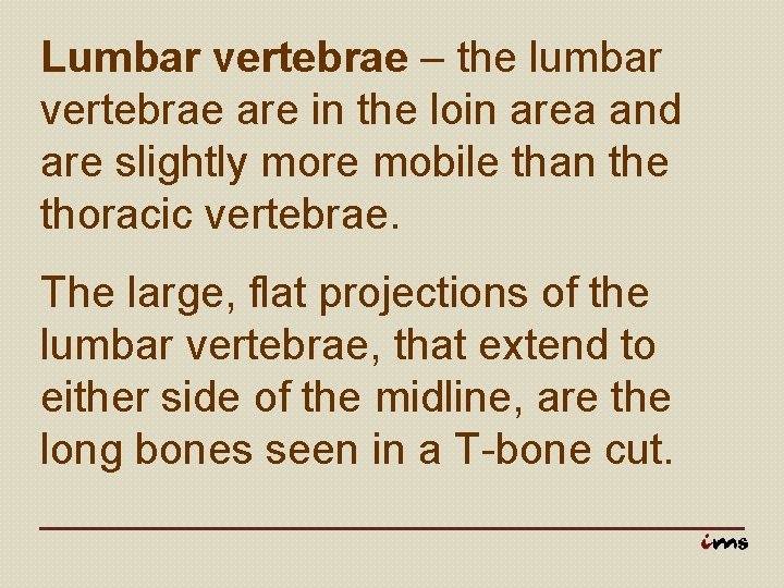 Lumbar vertebrae – the lumbar vertebrae are in the loin area and are slightly
