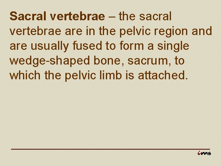 Sacral vertebrae – the sacral vertebrae are in the pelvic region and are usually