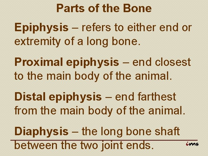 Parts of the Bone Epiphysis – refers to either end or extremity of a