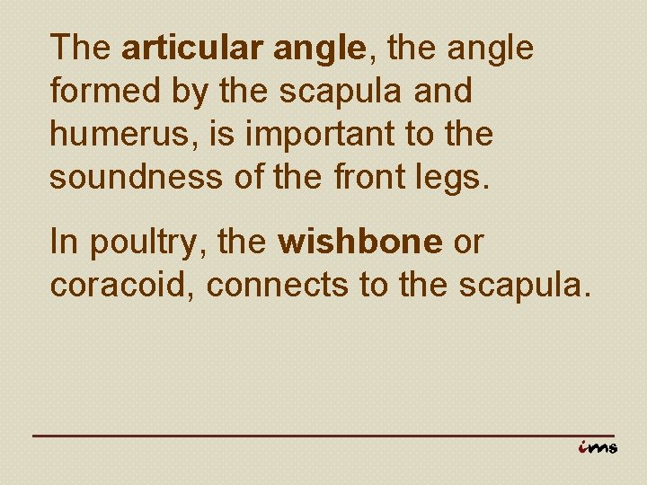 The articular angle, the angle formed by the scapula and humerus, is important to