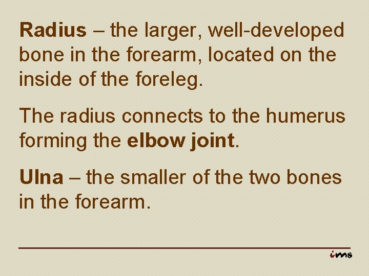 Radius – the larger, well-developed bone in the forearm, located on the inside of