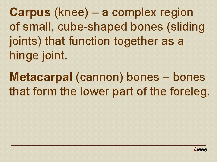 Carpus (knee) – a complex region of small, cube-shaped bones (sliding joints) that function