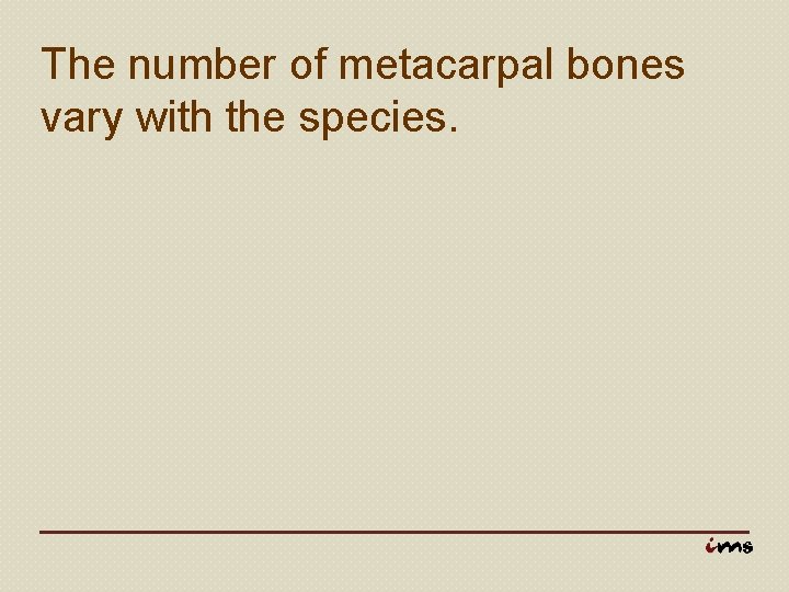 The number of metacarpal bones vary with the species. 