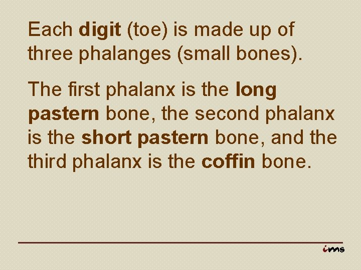 Each digit (toe) is made up of three phalanges (small bones). The first phalanx