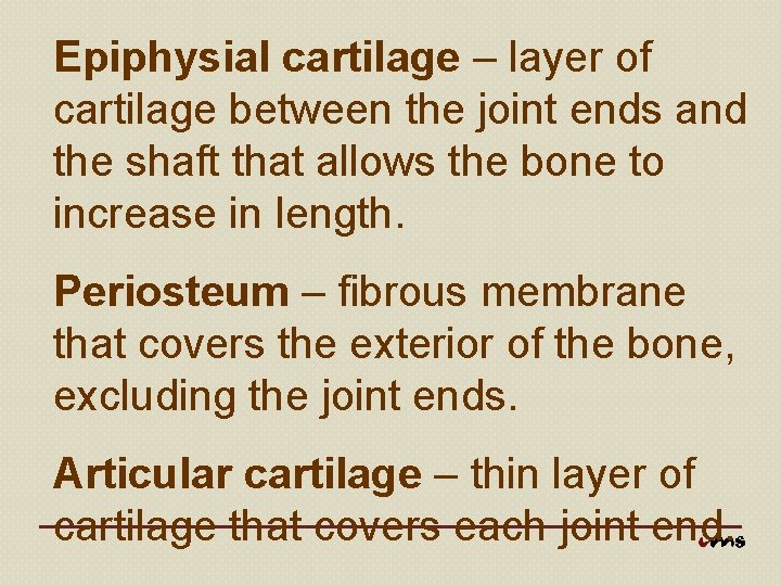 Epiphysial cartilage – layer of cartilage between the joint ends and the shaft that