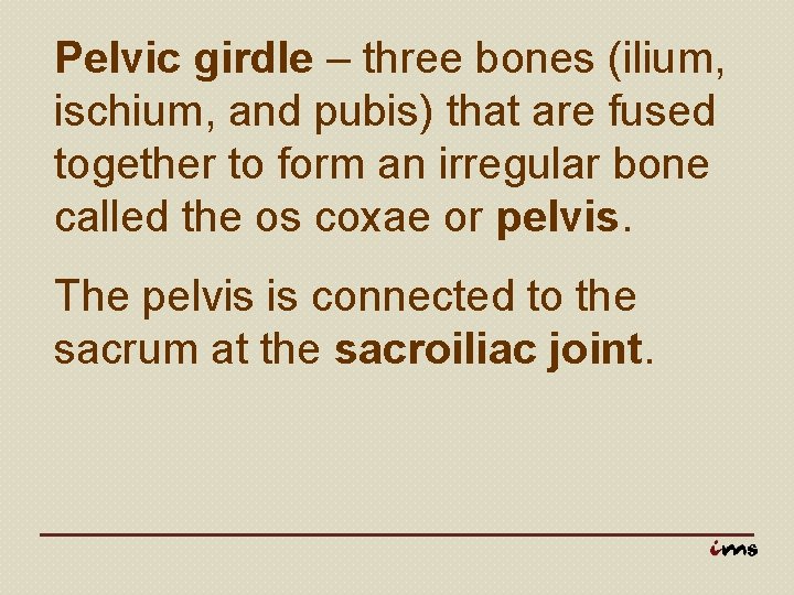 Pelvic girdle – three bones (ilium, ischium, and pubis) that are fused together to
