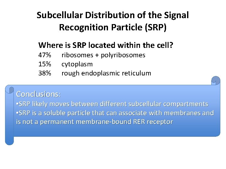 Subcellular Distribution of the Signal Recognition Particle (SRP) Where is SRP located within the