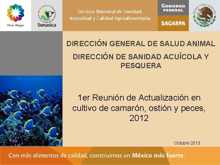 Servicio Nacional de Sanidad, Inocuidad y Calidad Agroalimentaria DIRECCIÓN GENERAL DE SALUD ANIMAL DIRECCIÓN