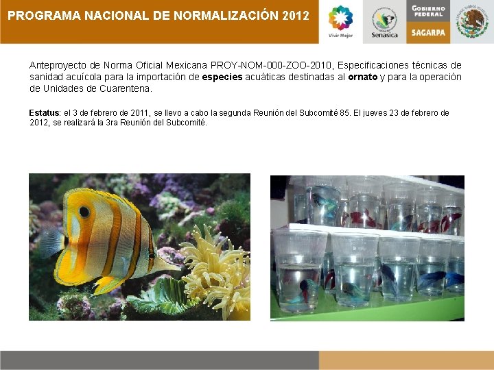 PROGRAMA NACIONAL DE NORMALIZACIÓN 2012 Anteproyecto de Norma Oficial Mexicana PROY-NOM-000 -ZOO-2010, Especificaciones técnicas