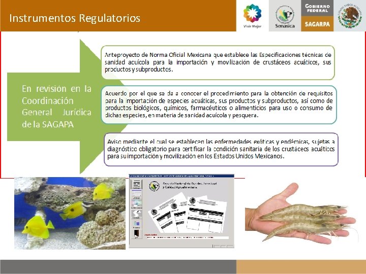 Instrumentos Regulatorios 