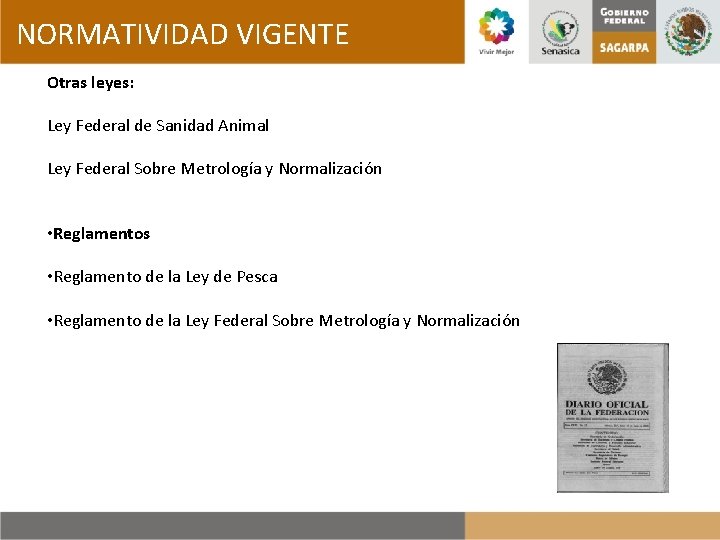 NORMATIVIDAD VIGENTE Otras leyes: Ley Federal de Sanidad Animal Ley Federal Sobre Metrología y