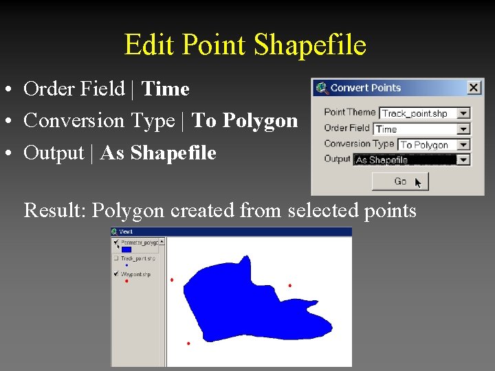 Edit Point Shapefile • Order Field | Time • Conversion Type | To Polygon