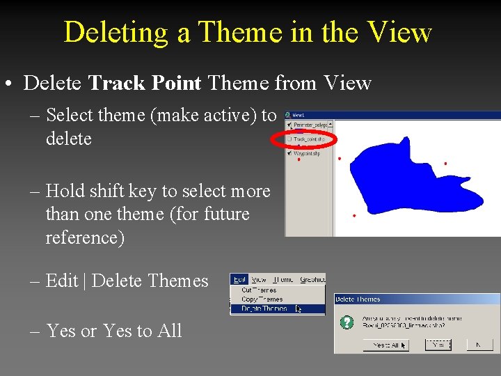 Deleting a Theme in the View • Delete Track Point Theme from View –