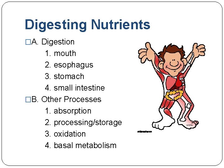 Digesting Nutrients �A. Digestion 1. mouth 2. esophagus 3. stomach 4. small intestine �B.