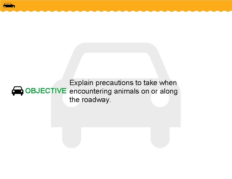 Explain precautions to take when OBJECTIVE encountering animals on or along the roadway. 