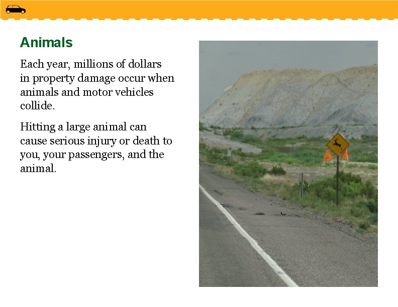 Animals Each year, millions of dollars in property damage occur when animals and motor