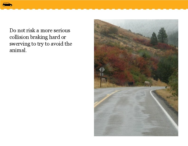 Do not risk a more serious collision braking hard or swerving to try to