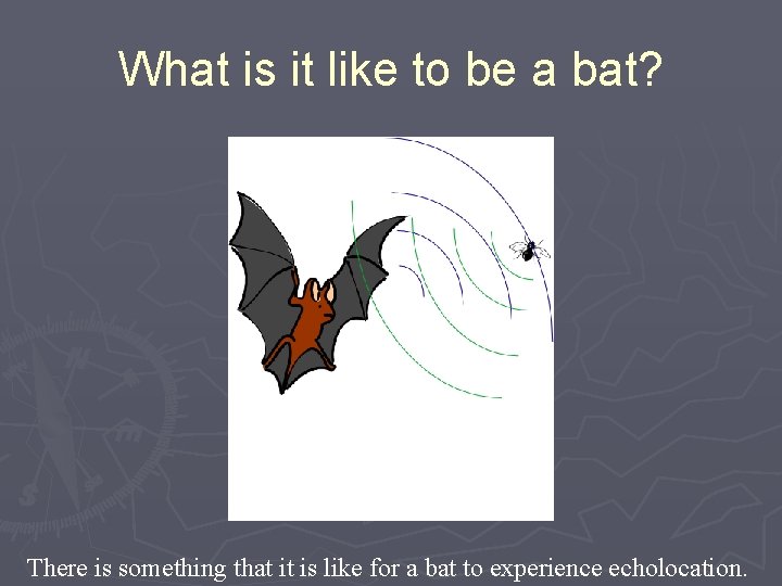 What is it like to be a bat? There is something that it is