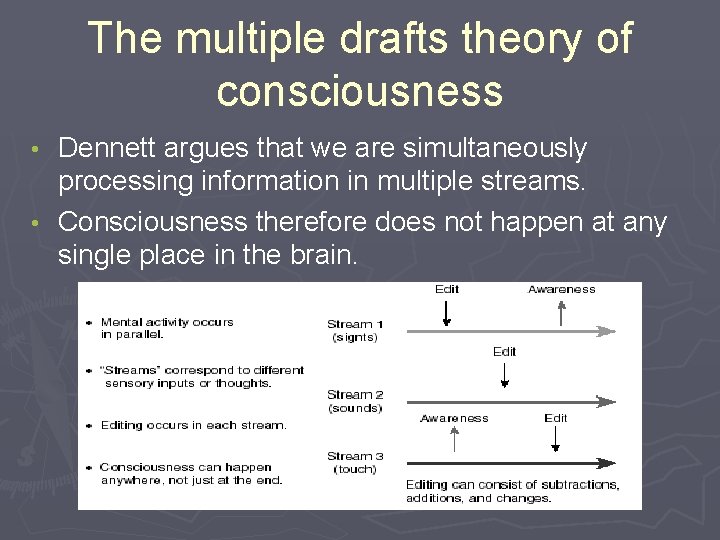 The multiple drafts theory of consciousness Dennett argues that we are simultaneously processing information