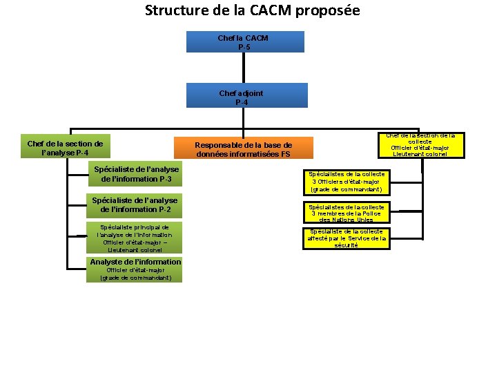 Structure de la CACM proposée Chef la CACM P-5 Chef adjoint P-4 Chef de