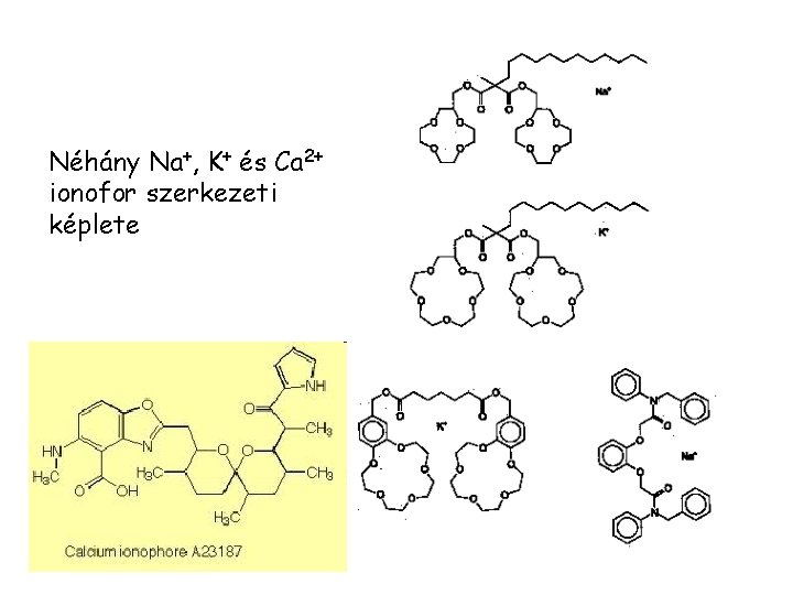 Néhány Na+, K+ és Ca 2+ ionofor szerkezeti képlete 