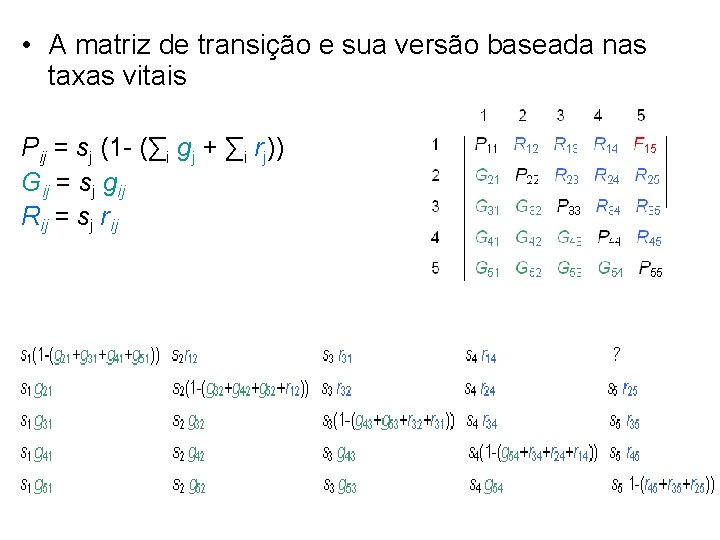  • A matriz de transição e sua versão baseada nas taxas vitais Pij