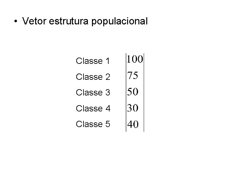  • Vetor estrutura populacional Classe 1 Classe 2 Classe 3 Classe 4 Classe