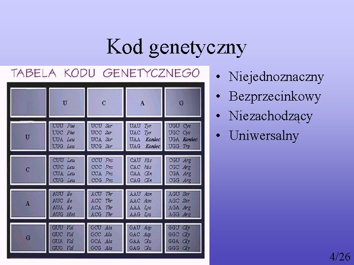 Kod genetyczny • • Niejednoznaczny Bezprzecinkowy Niezachodzący Uniwersalny 4/26 